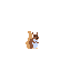 a simple squirrel