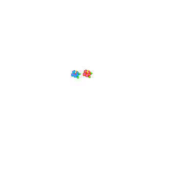 flowers1