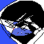 black nieaga