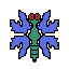 gnat
