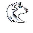 wolf white