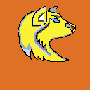 yellow wolf with brown bg