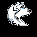 wolf white w black bg