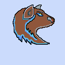 light brown wolve