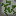 clb overgrown