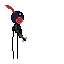 syn ferdynarda