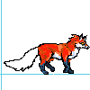 fox walking