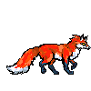 fox walking 4