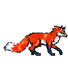 fox walking 5