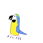 parrot
