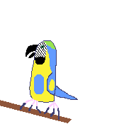 papuga