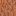 treebark