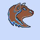 dark brown wolve rare