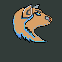 light brown wolve rare