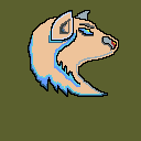 super light brown wolve rare