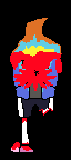sans 13
