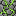 vinecobblestonev1