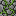 cobblestonevinev2