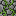 cobblestonevine3