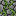 cobblestonevine4