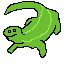 lizard