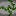 horse overgrown