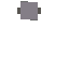 wolfi lauft 3