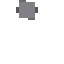 wolfi lauft 4