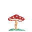 shroom