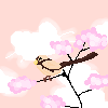 bird in sunrise