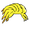 surferhair
