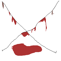 x