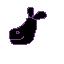 black whale