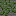 mossy viney greybrickwall