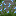 grassy bluebell greybrickwall 2