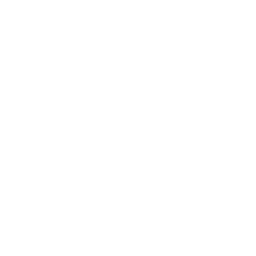 vox blank challenge