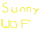 sunny wof