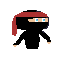 ninja test