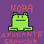 ayudante sapu coin nora