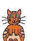 tabby cat