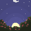 night in roses