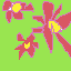 summer flawers