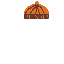 hair 4