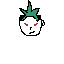 face