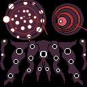 the constellation