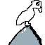 vulture nft uncolored