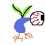a eyeballium