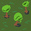 some trees