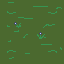 some grass