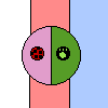 miraculus ladybug profail photo